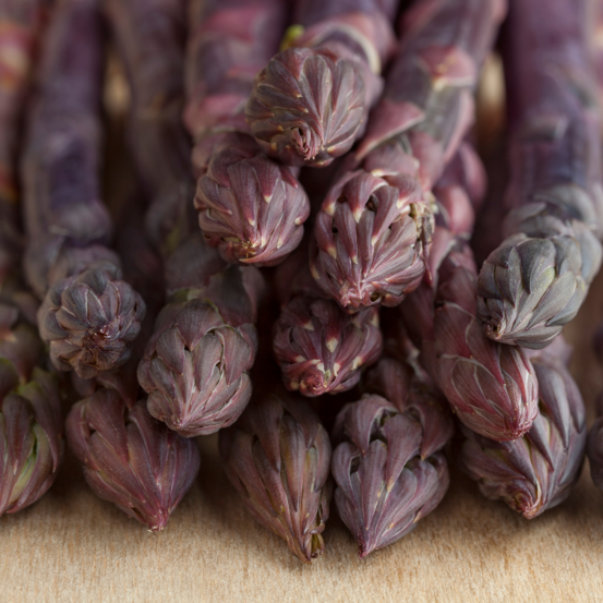 10 griffes asperge rosalie 1 an