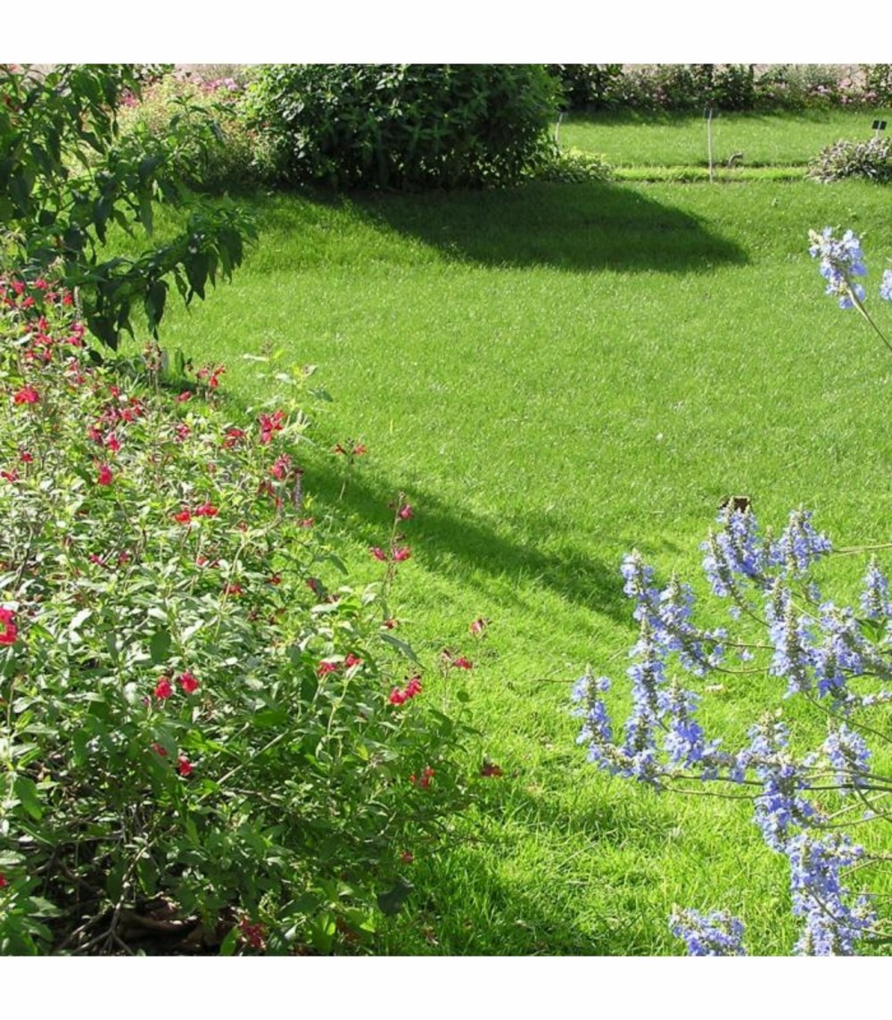 Engrais flori or kz 20 kg améliore l'absorption des nutriments, pour sol scarifié - florivert neg01887