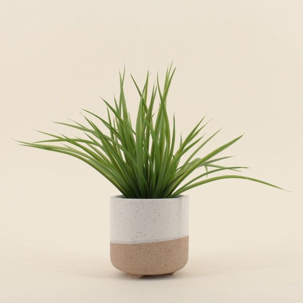 Plante artificielle pot céramique bicolore 26cm