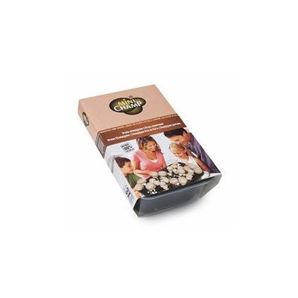 Kit culture champignons bruns Minichamp 3L