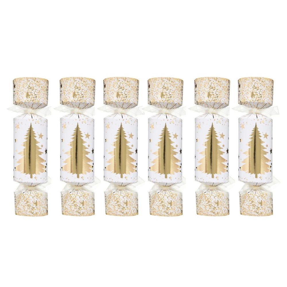 Lot de 6 crackers 