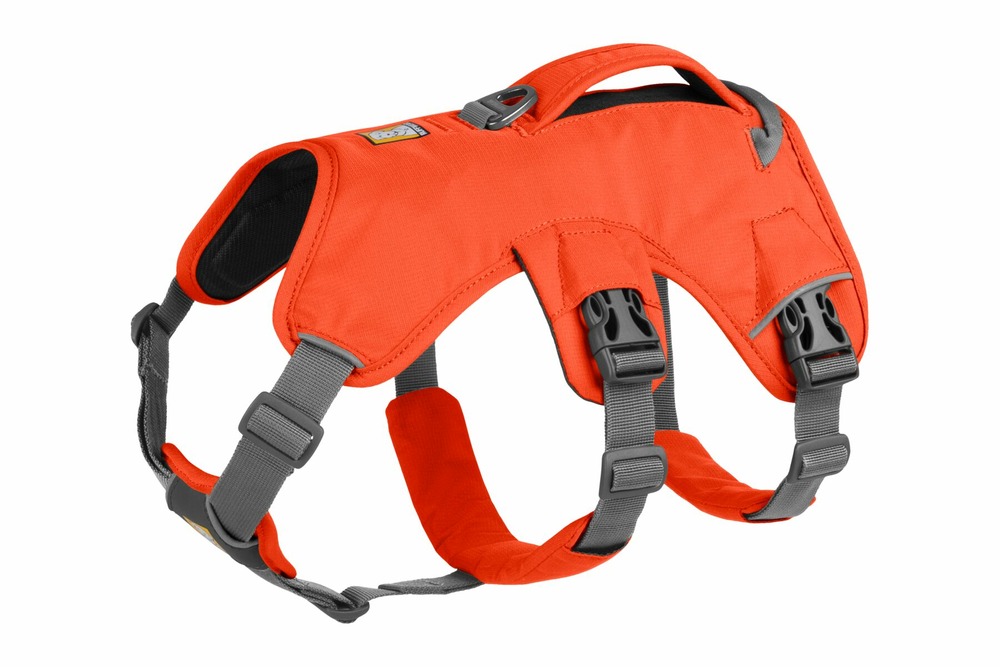 Harnais avec poignée web master™ pour la randonnée et l’aide à la mobilité. Couleur: blaze orange (orange), taille: xxs
