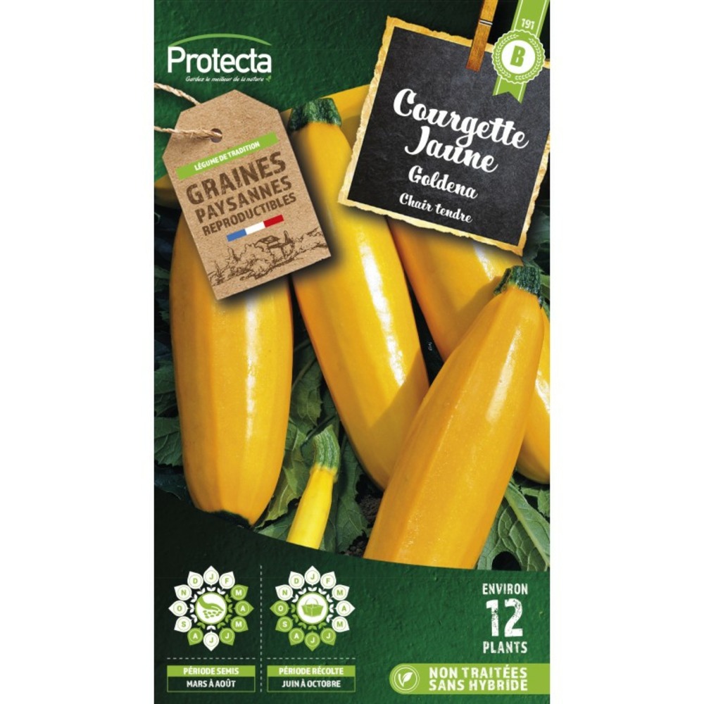 Graines paysannes - courgette jaune