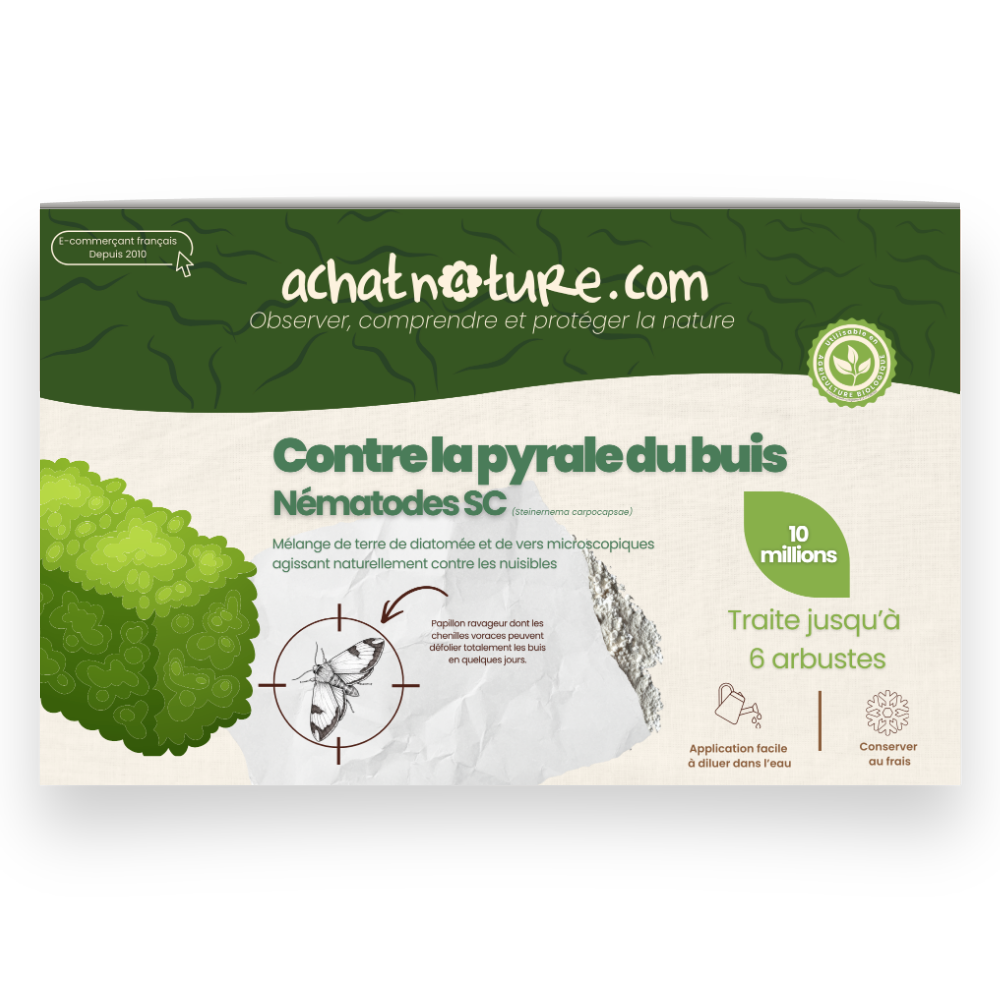 Nématodes sc contre pyrale du buis - 10 millions - 6 arbustes