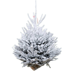 Sapin de noel epicéa rouge de norvège floqué blanc 100/125cm