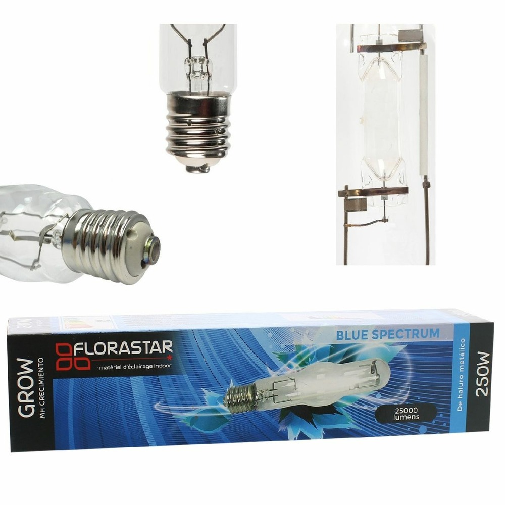Ampoule mh 250w croissance