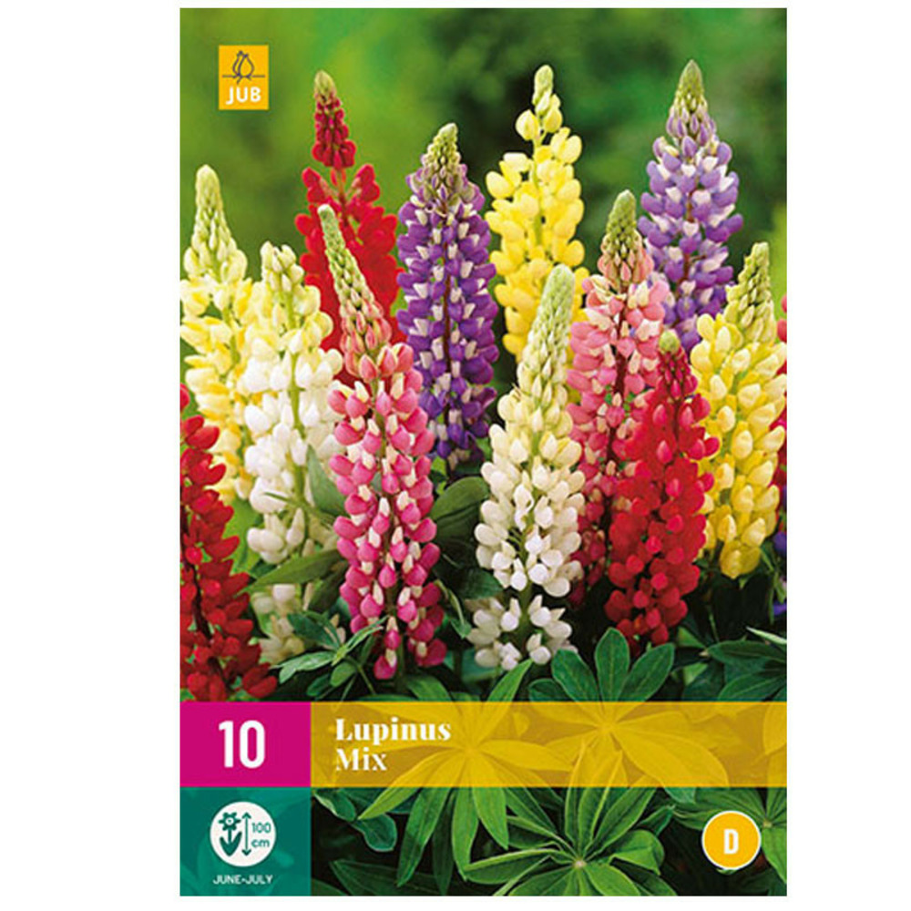 Mélange de 10 bulbes lupin mix multicolore