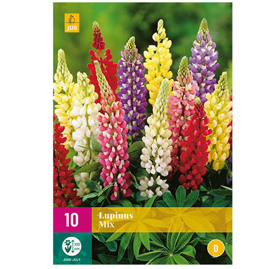 Mélange de 10 bulbes lupin mix multicolore