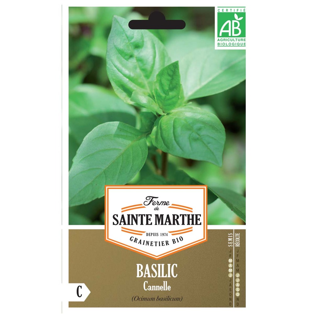 Basilic 'cinnamomum' le sachet de 150 graines environ (0.2g)