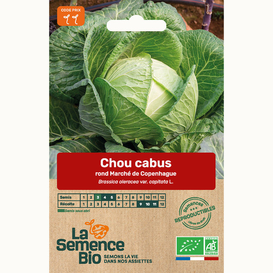 Chou cabus rond marché de copenhague - graines bio
