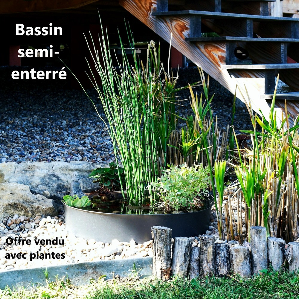 Petit bassin clé en main pour terrasse 60 litres + accessoires + oxygénateur + pack 7 plantes mi-ombre