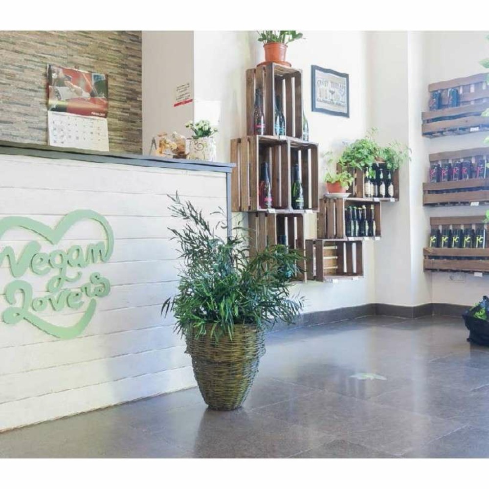 Grande plante Nicoly Vert satbilisÃ©e