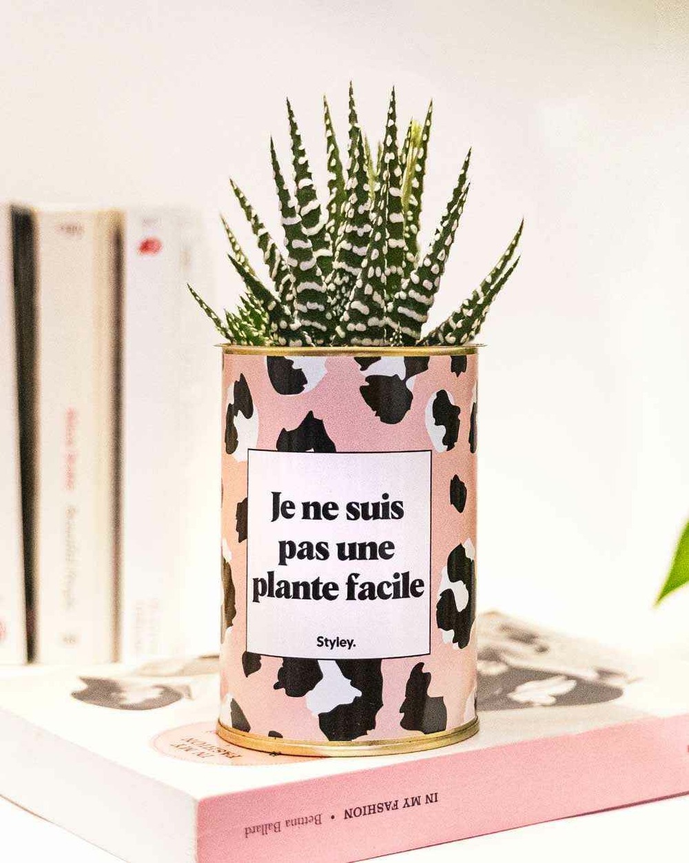 Plante facile à entretenir - je ne suis pas une plante facile - cactus