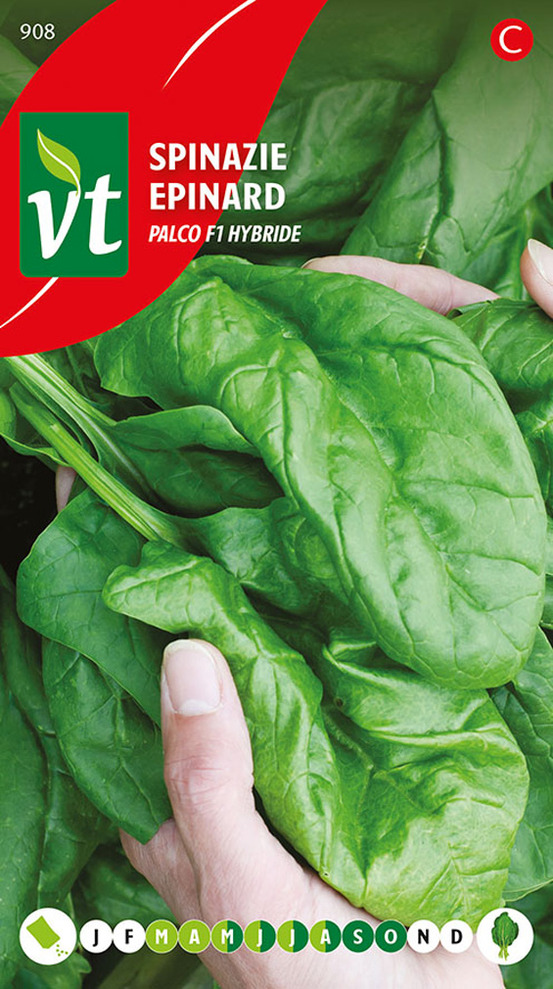 Epinard palco f1 hybride - ca. 14 gr (livraison gratuite)