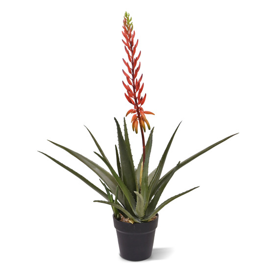 Aloe vera plante artificielle 75cm rouge