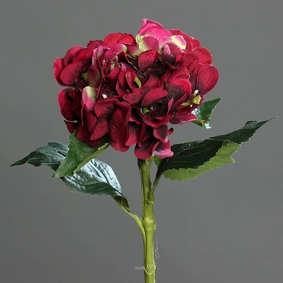 Hortensia artificiel en tige 1 tête 3 feuilles h 50 cm top bourgogne - couleur: