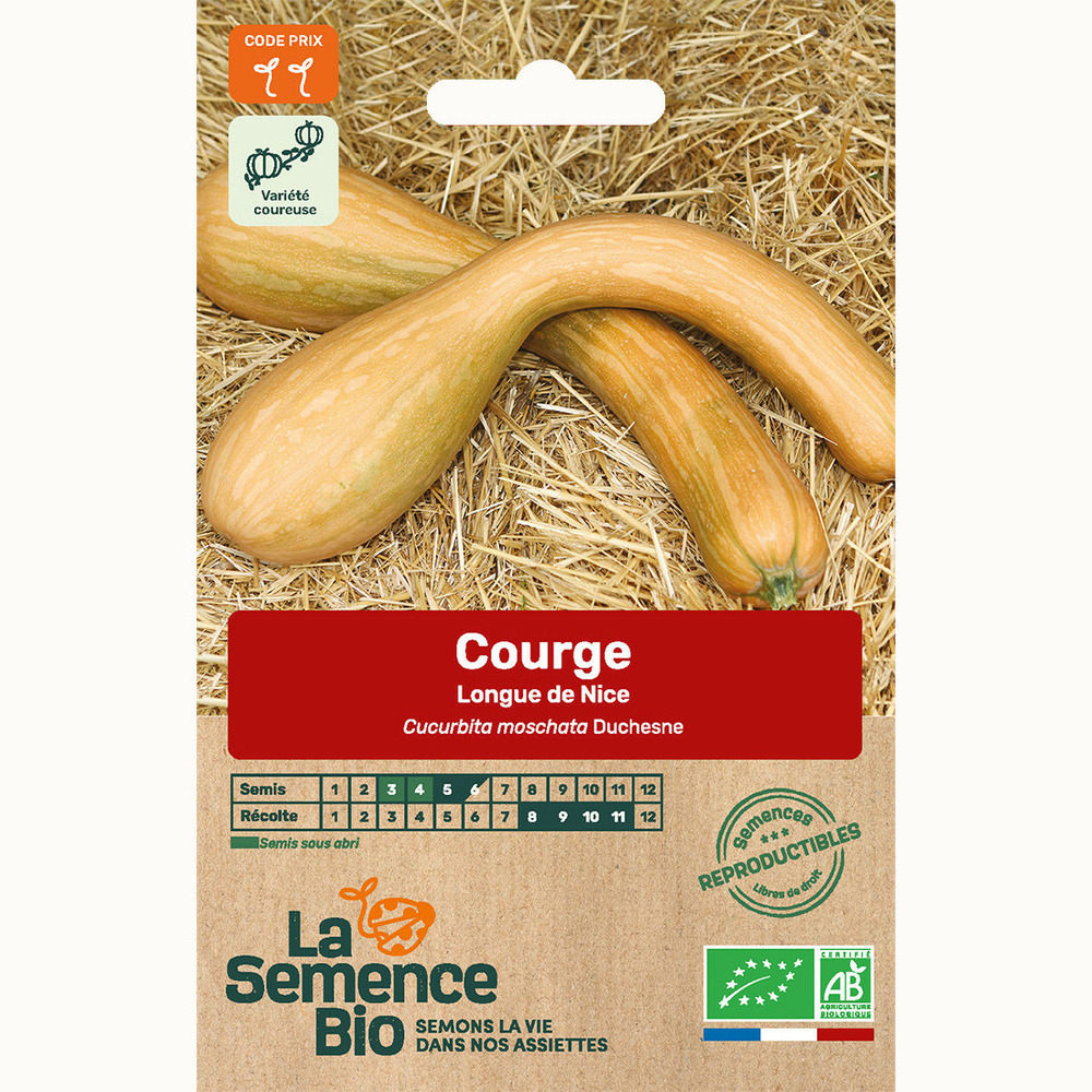 Courge longue de nice - graines bio