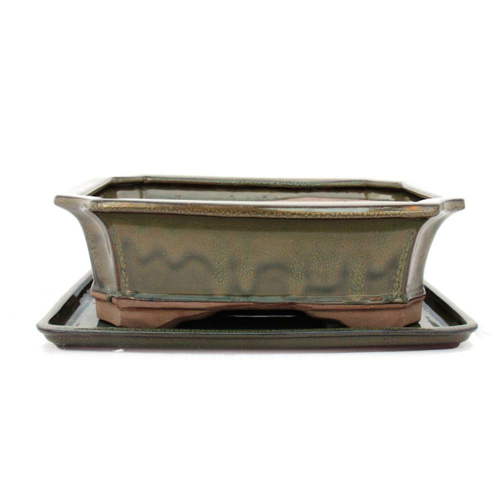 Bol bonsaï avec soucoupe taille 5 - brun olive - angulaire - modèle g4 - l 31cm - l 23cm - h 9,5 cm