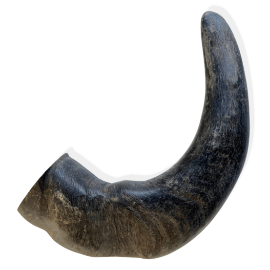 Corne de buffle pour chien m 150-190gr