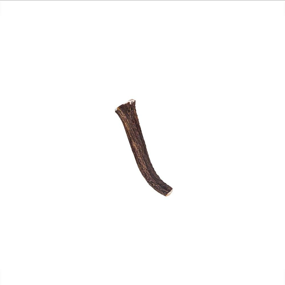 Bois cerf entier - mastications pour chiens