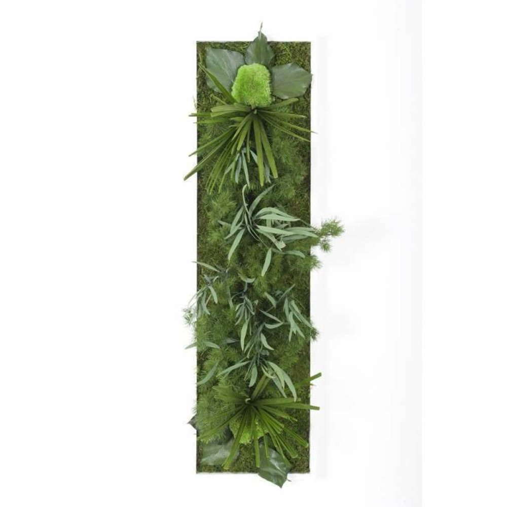 Tableau végétal stabilisé hakoniwa - tableau végétal - décoration d'intérieur - 70*20 cm