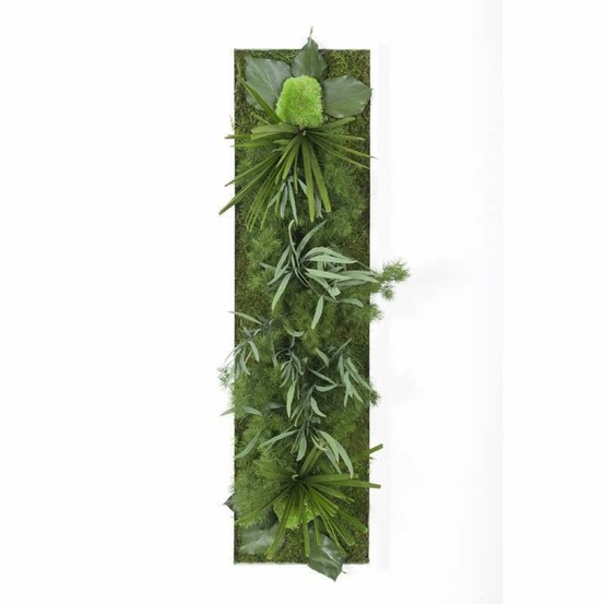 Tableau végétal stabilisé hakoniwa - tableau végétal - décoration d'intérieur - 70*20 cm