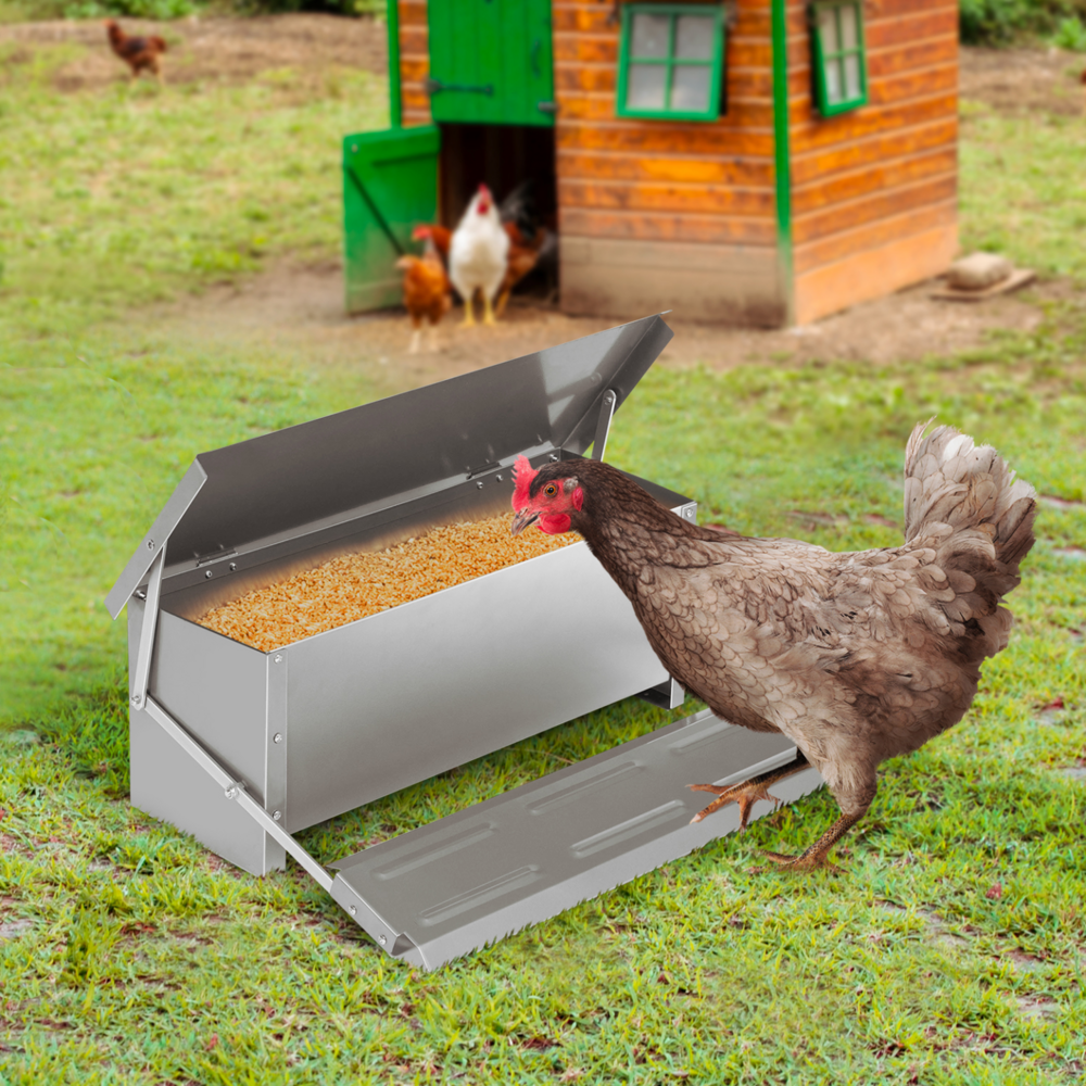 Mangeoire xxl pour poules distributeur automatique à pédale en acier 10 kg