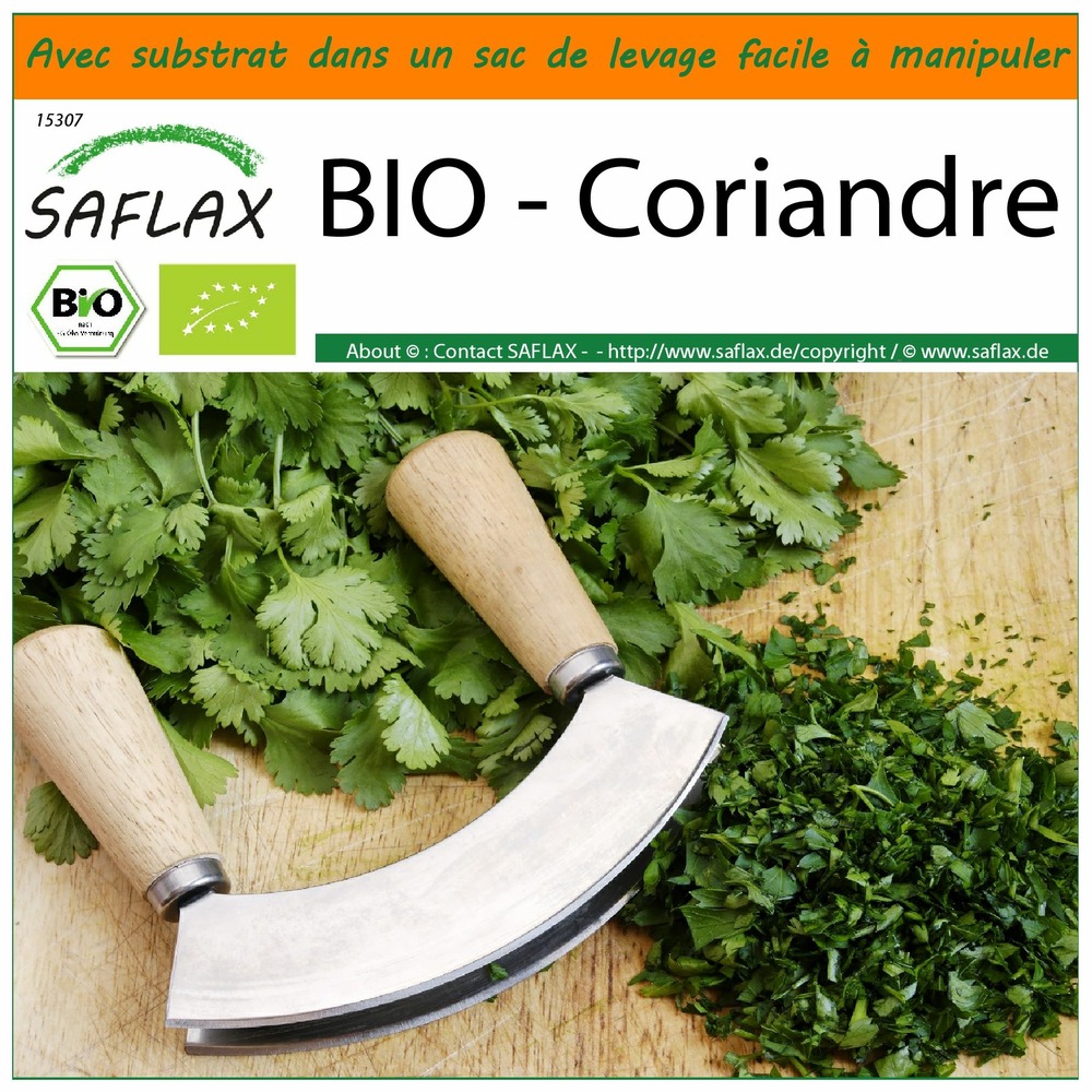 Garden in the bag - bio - coriandre - 150 graines - coriandrum sativum
