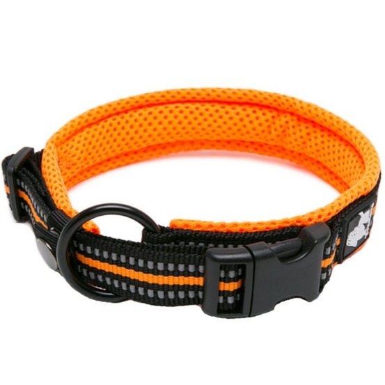 Collier chien flex - S : 35 - 40 cm - Orange