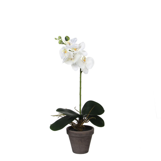 Mica decorations - orchidée artificielle blanc en pot h48