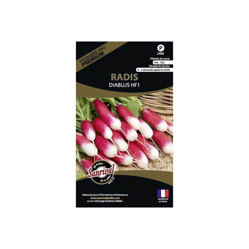 Graines potagères premium radis diablus