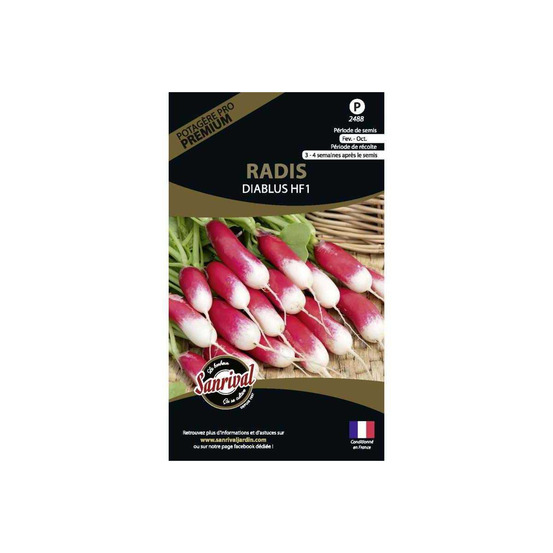 Graines potagères premium radis diablus