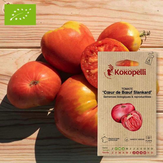 Tomate cœur de bœuf slankard- graines bio à semer