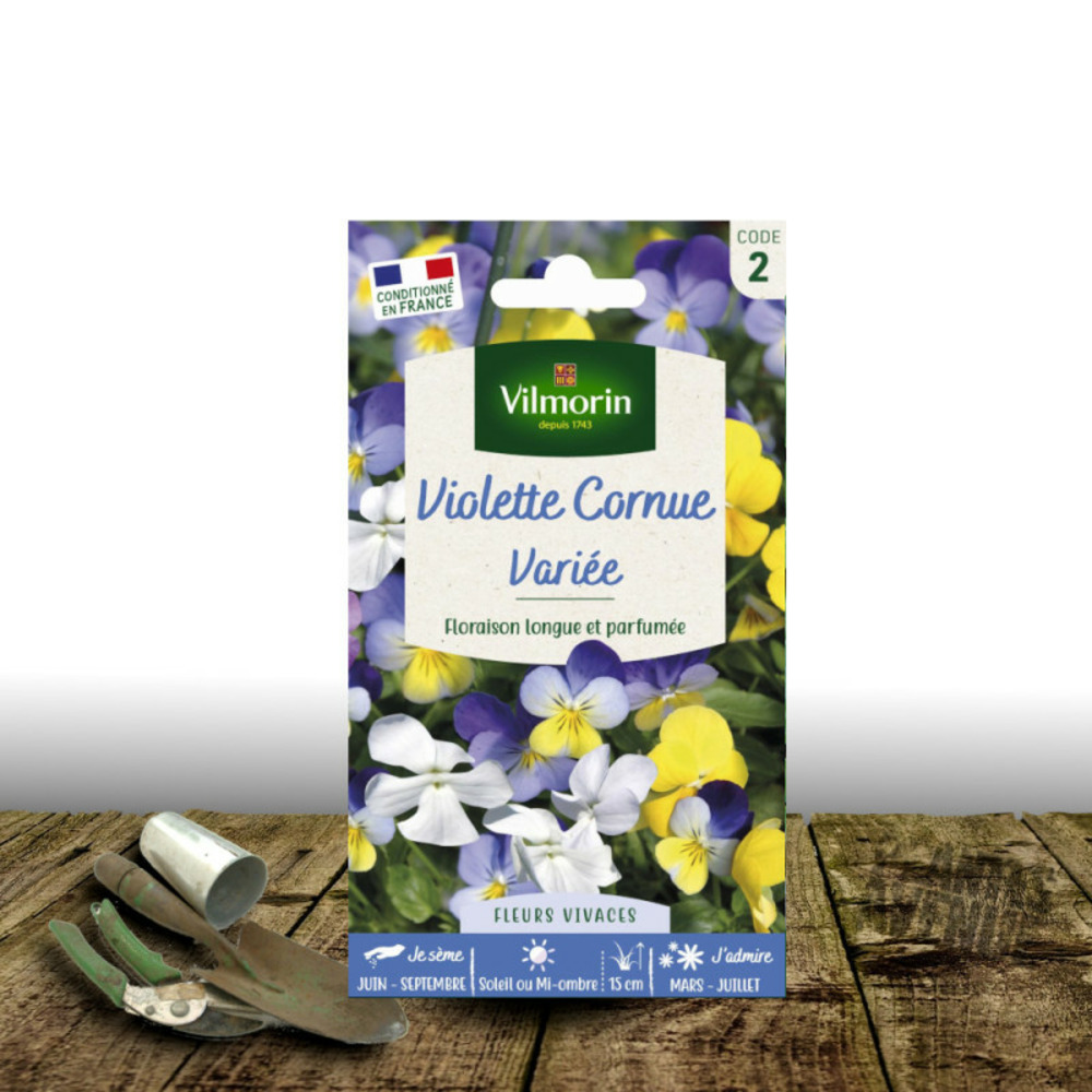 Graines de violette cornue varié - vilmorin sachet