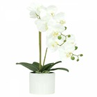 Orchidées artificielles blanches 55cm