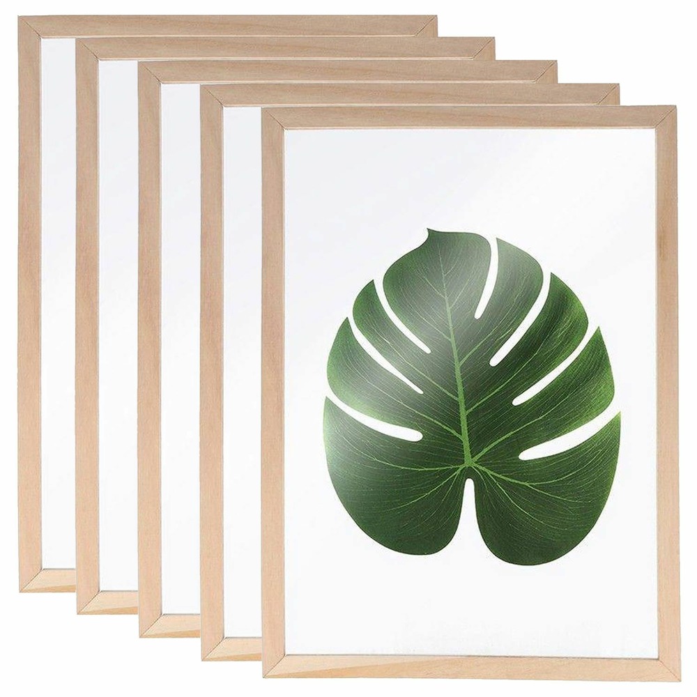 5 cadres en bois pour herbier a4