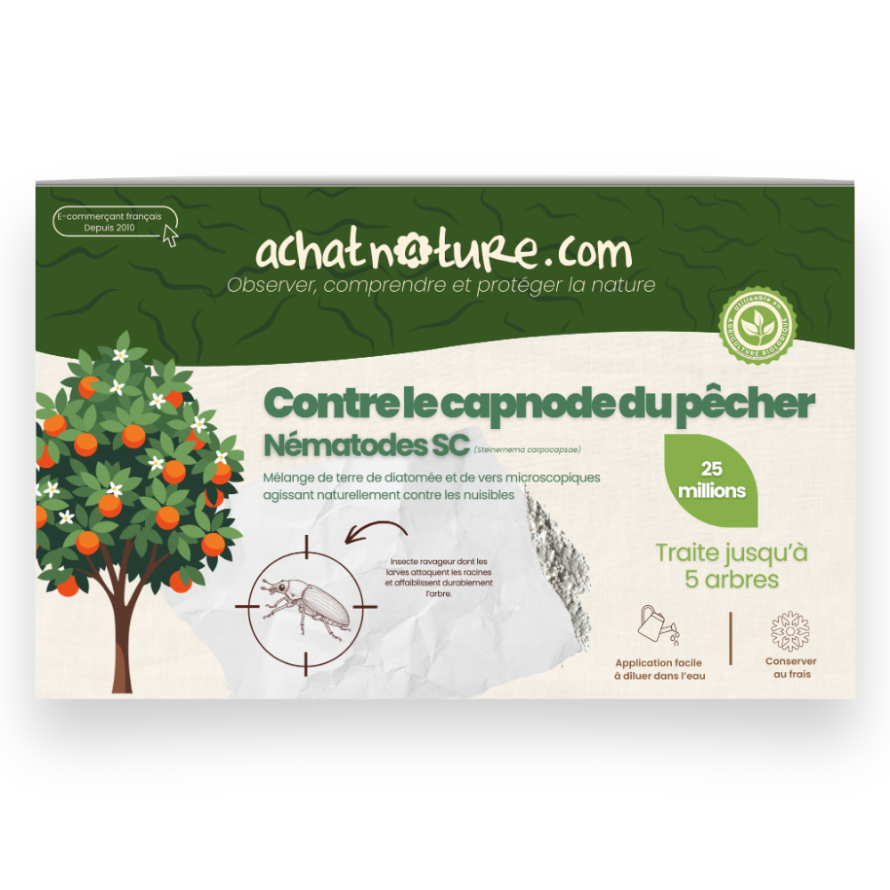 Nématodes sc contre capnode du pêcher - 25 millions - 5 arbres