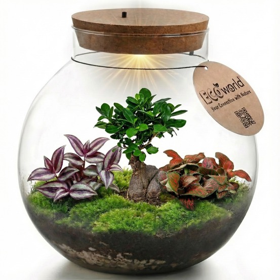 Bonsai terrarium ø 25 cm - écosystème fermé