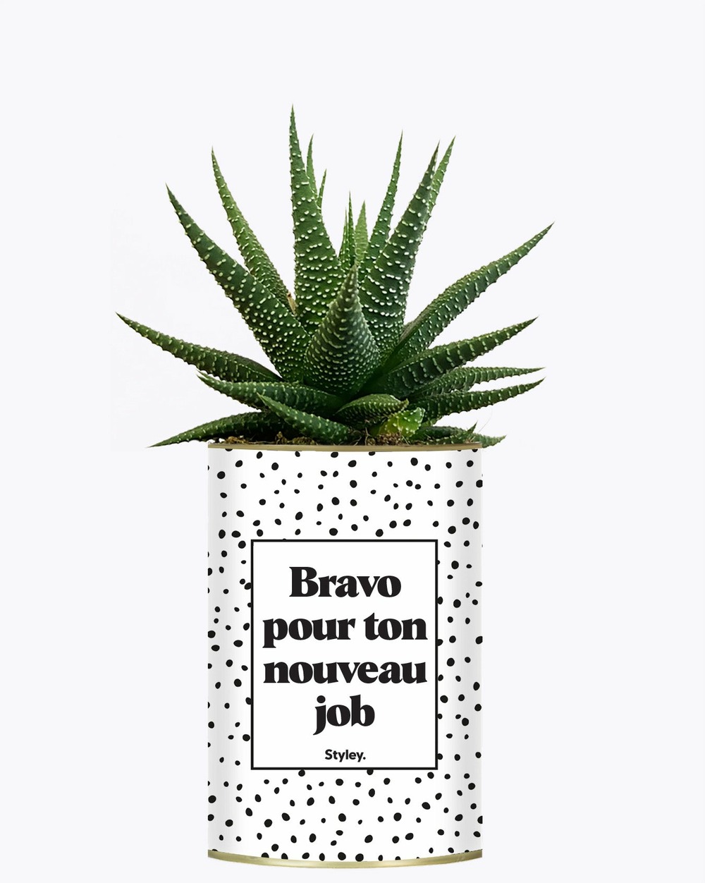 Plante personnalisée - bravo pour ton nouveau job - cactus