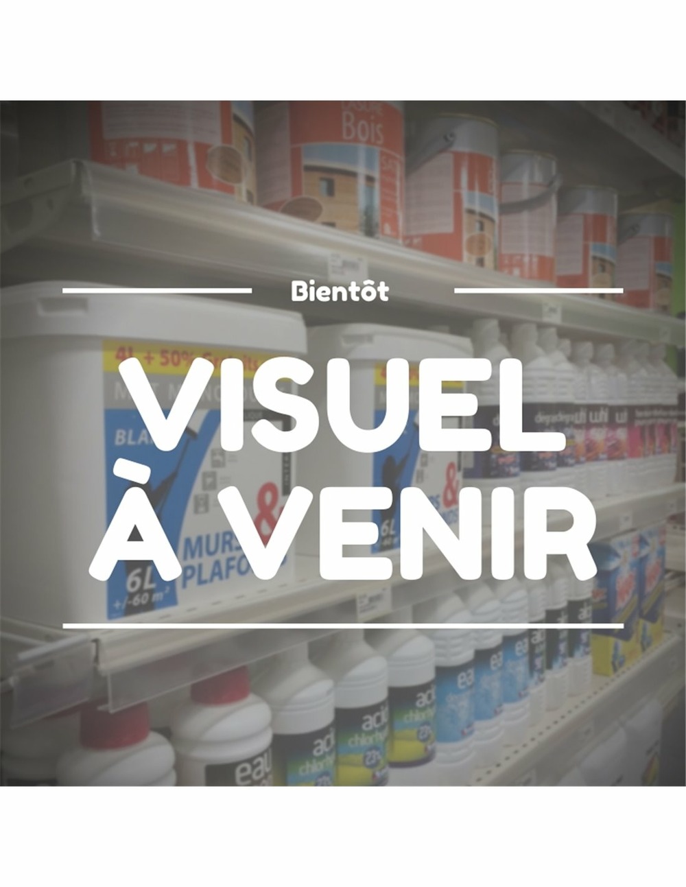 Guide 28'' windsor duratip 28hu63 -pl