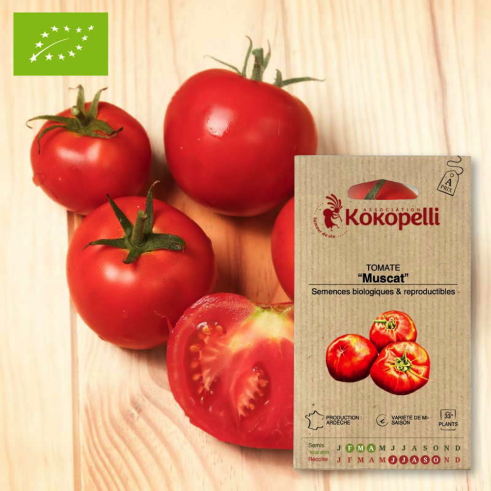 Tomate muscat- graines bio à semer