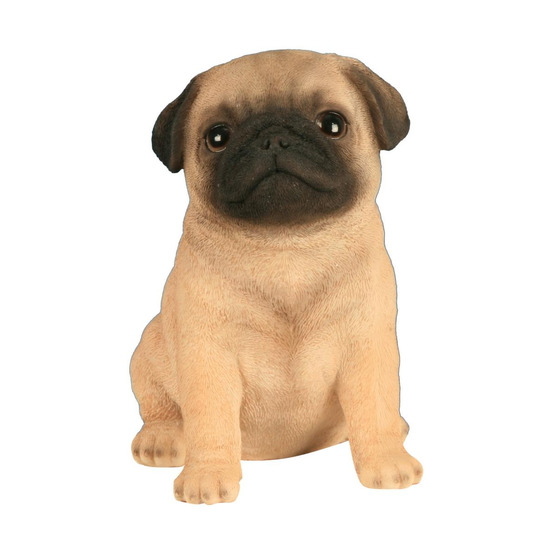 Carlin en résine chiot