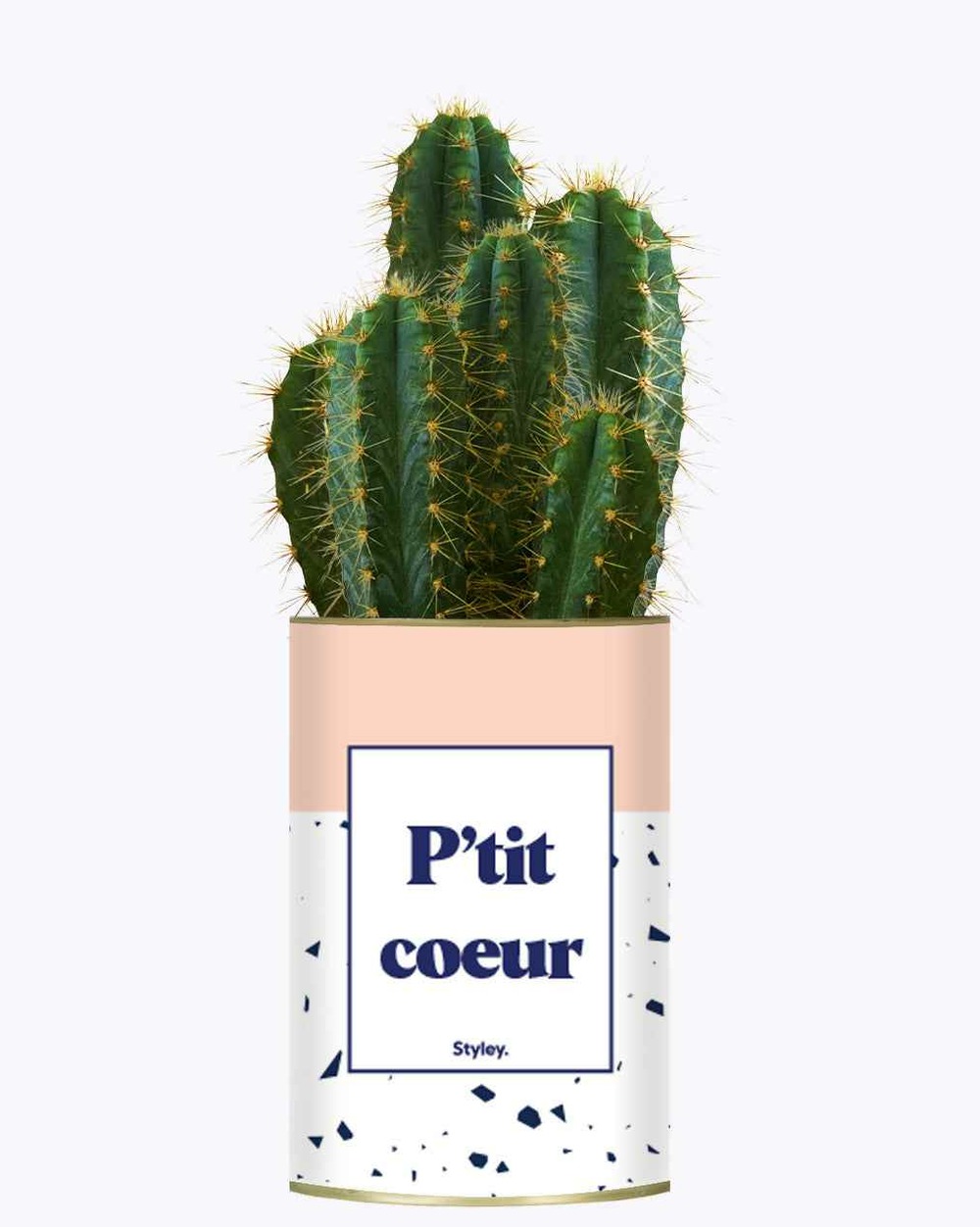 Plante personnalisée - p'tit coeur - cactus