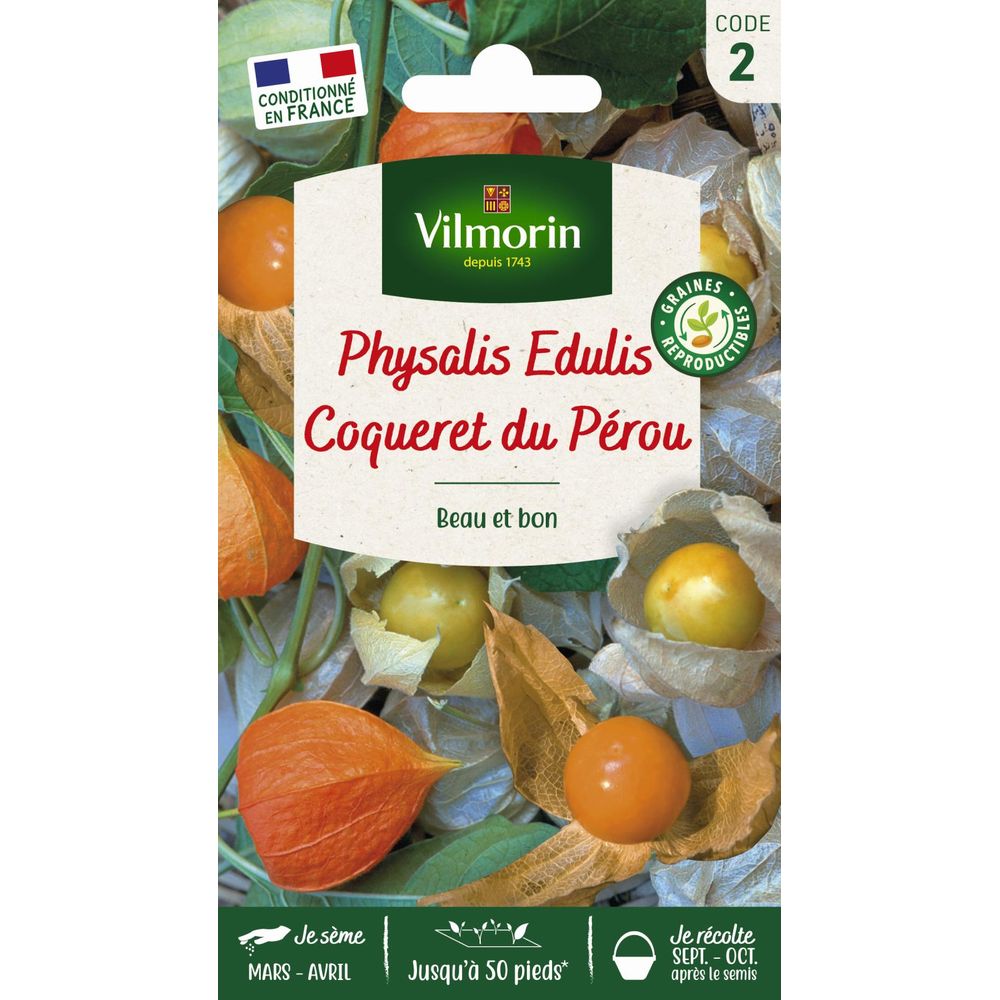 Physalis edulis coqueret du pérou