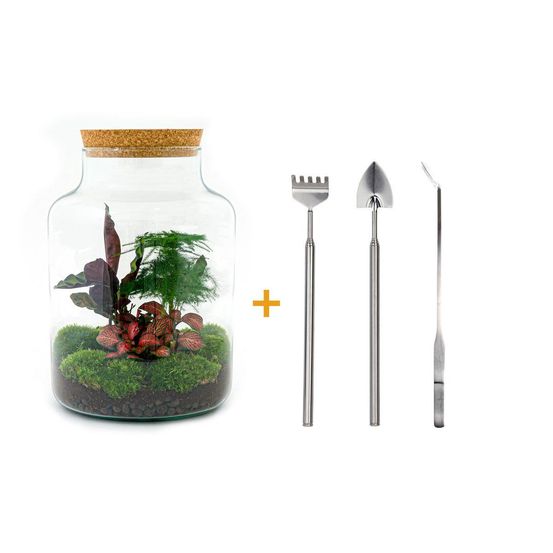 Diy terrarium - h30 cm - ø30 cm