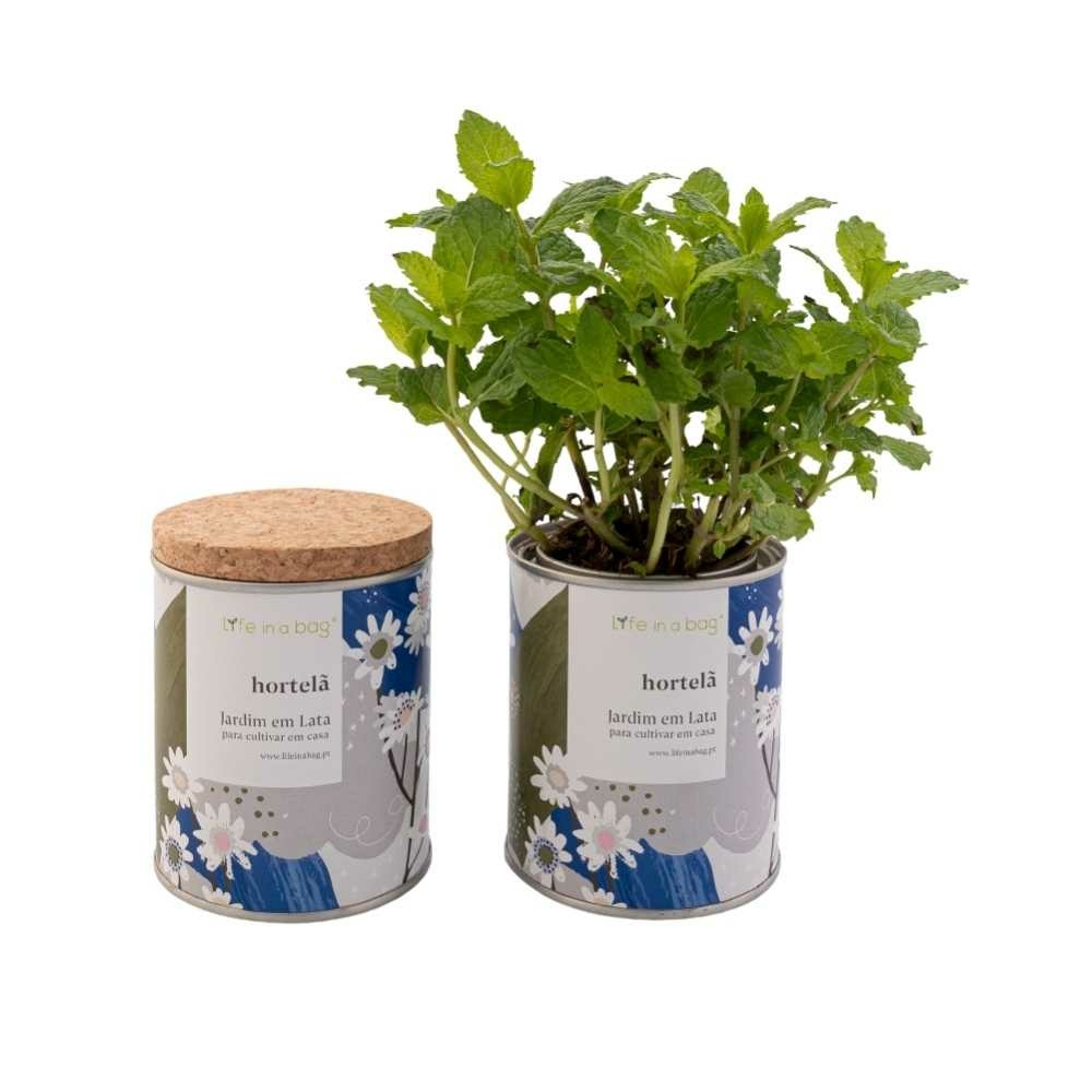 Jardin en boite floral menthe