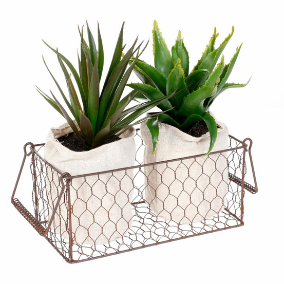2 aloe vera artificielles en panier