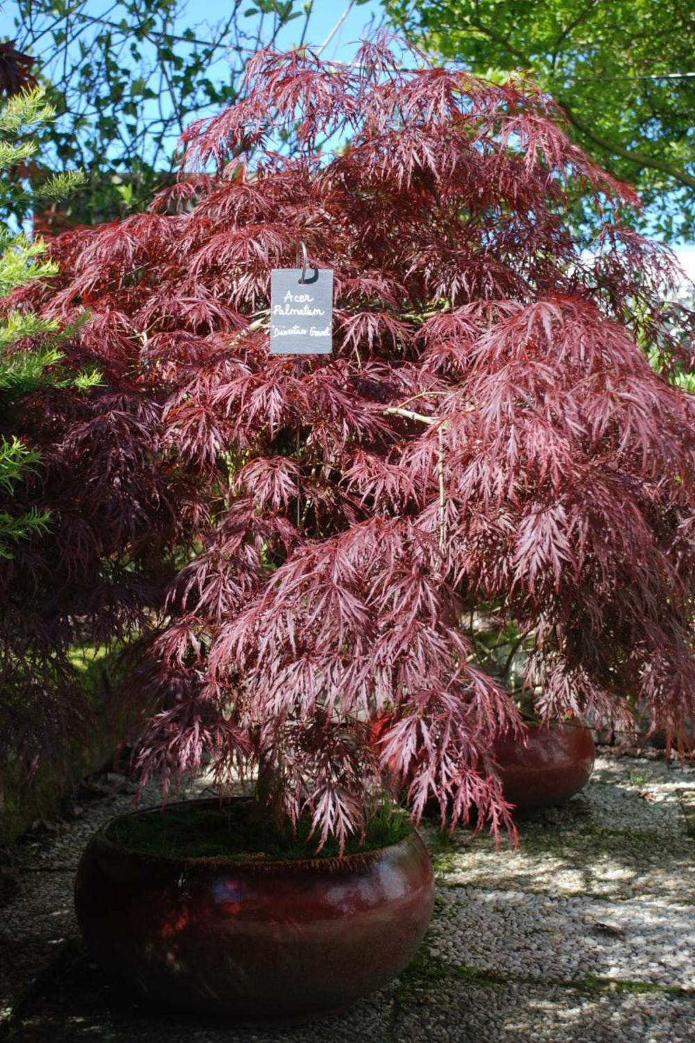 Support étiquette acier 100 cm taille support - support acier 100 cm