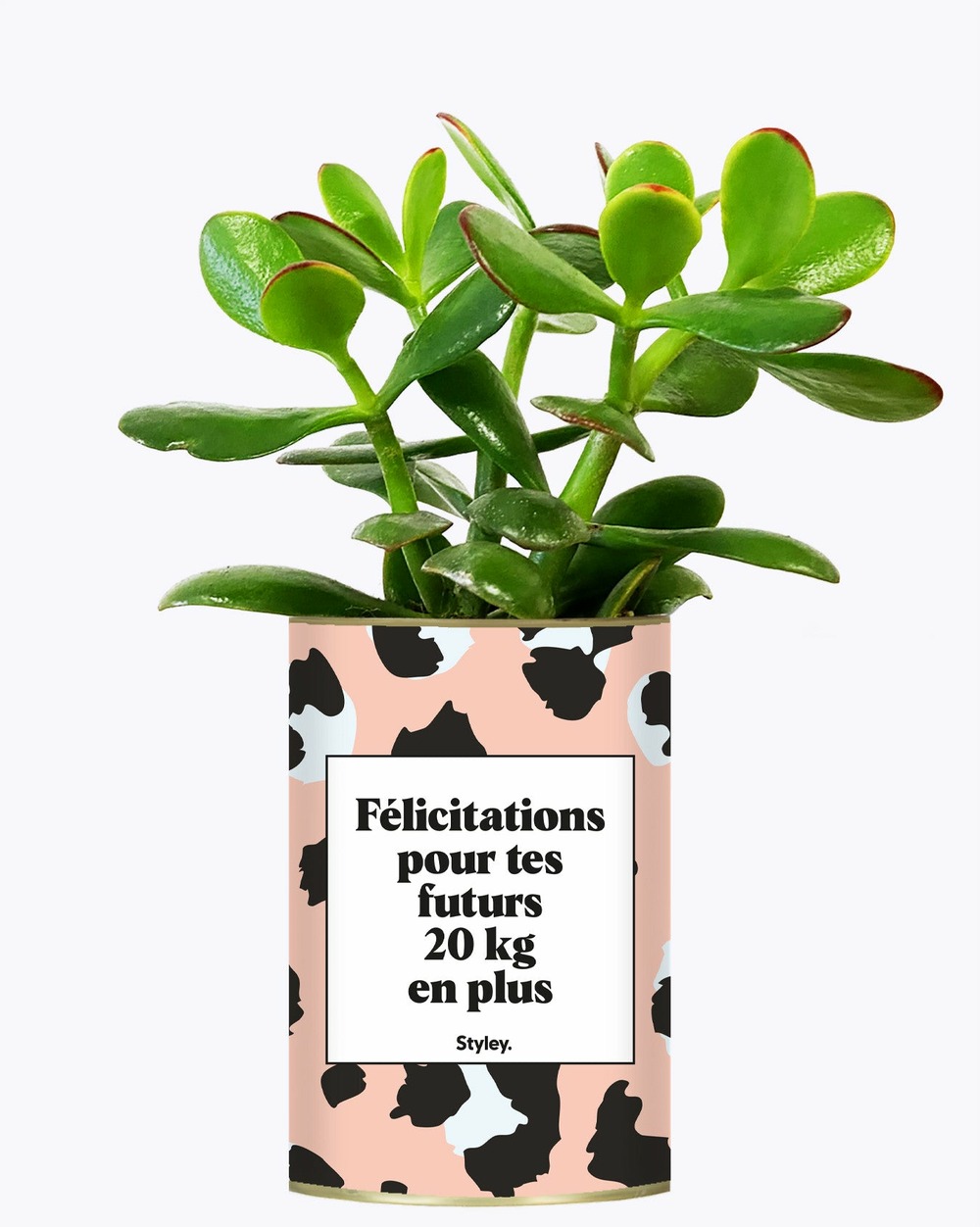 Idée cadeau - félicitations pour tes futurs 20kg en plus - plante