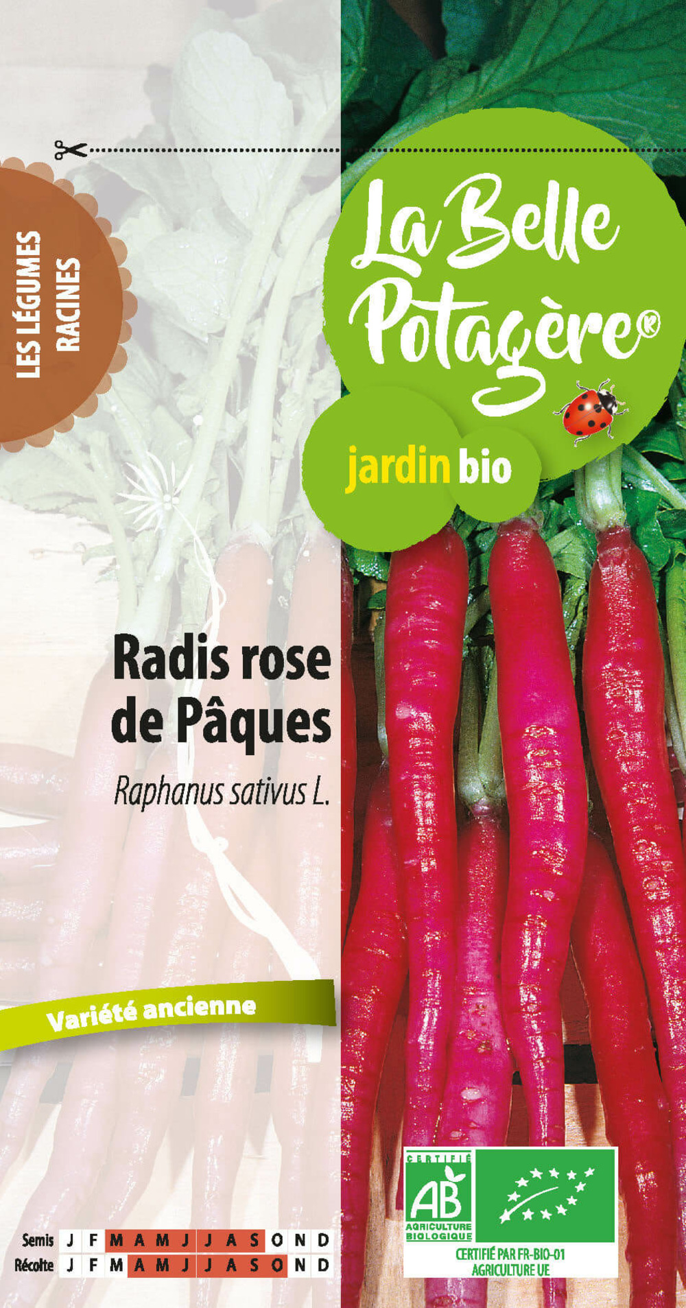 Radis rose de pâques 3 g
